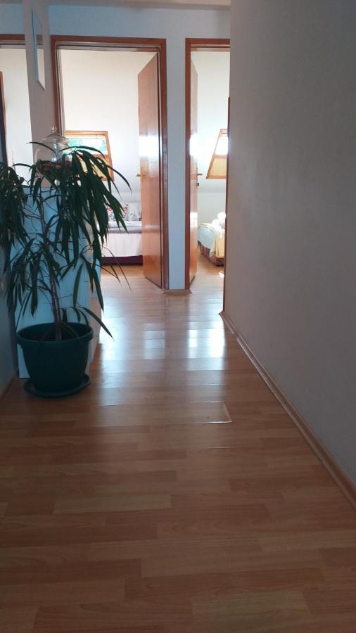קורצולה Apartmani "Zuka" מראה חיצוני תמונה
