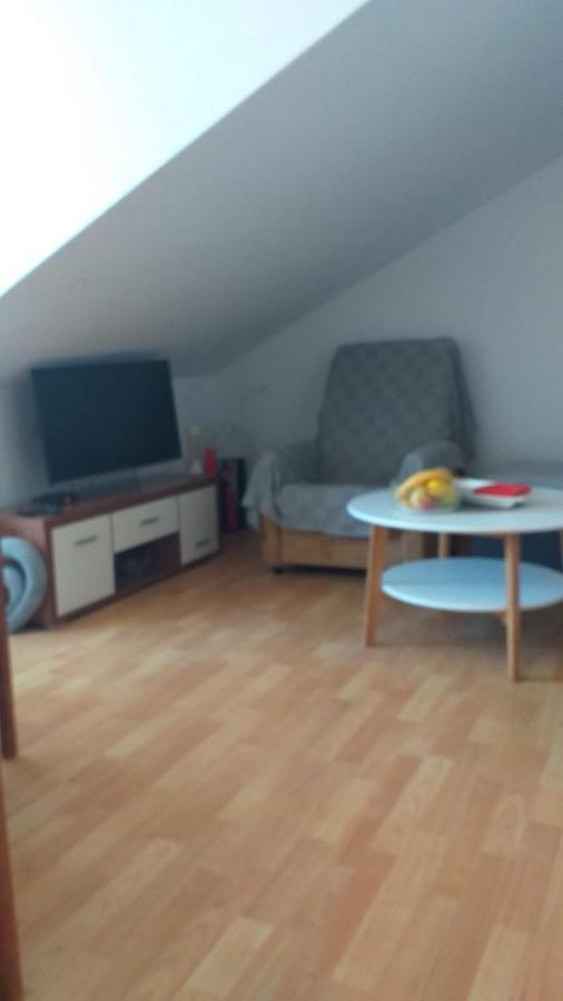 קורצולה Apartmani "Zuka" מראה חיצוני תמונה