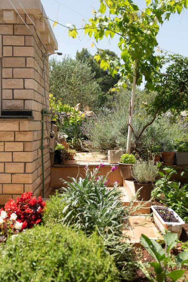 קורצולה Apartmani "Zuka" מראה חיצוני תמונה